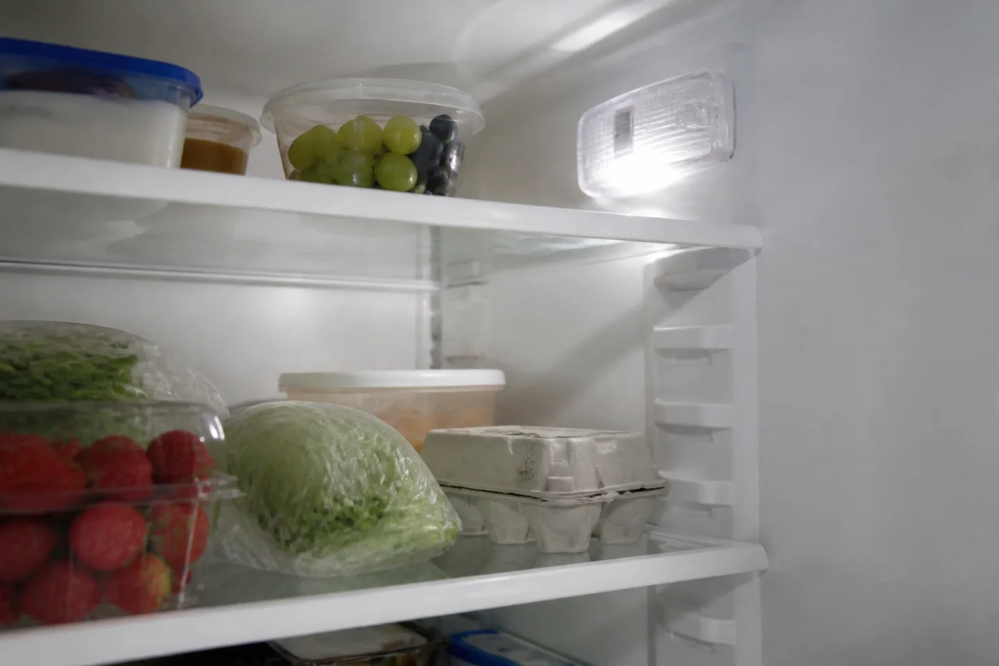 Interior of a refrigerator with a protected light near the upper shelf